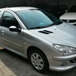 manella-veiculos-peugeot-206-hatch-feline